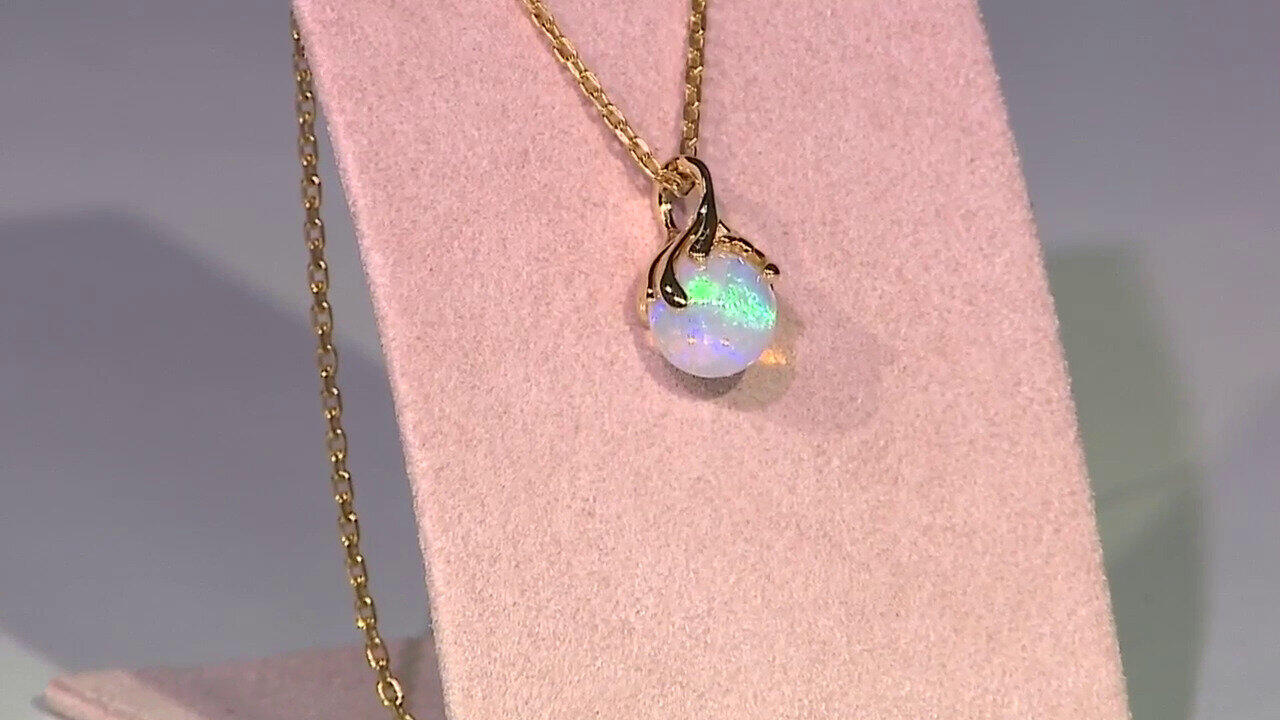 Letzte TV-Show ansehen