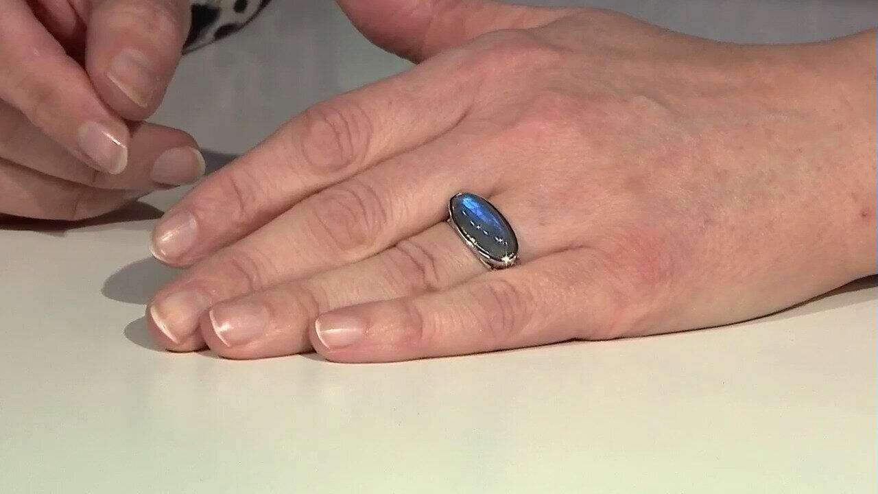 Letzte TV-Show ansehen