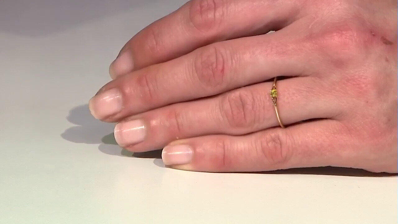 Letzte TV-Show ansehen