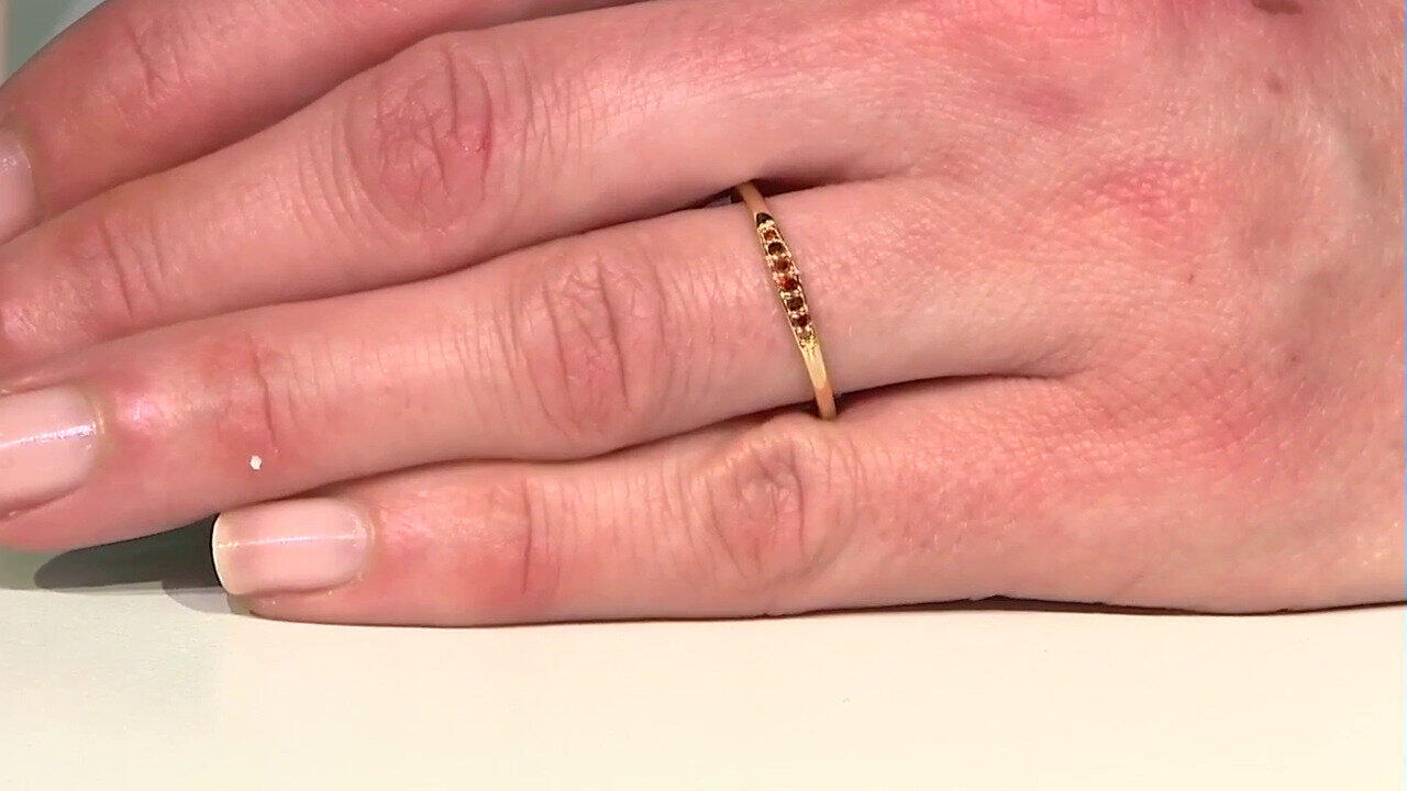 Letzte TV-Show ansehen