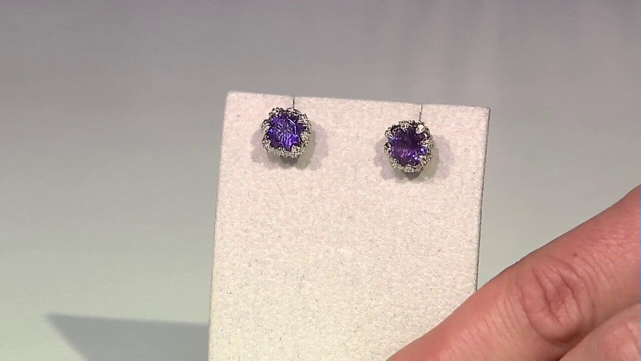 Letzte TV-Show ansehen