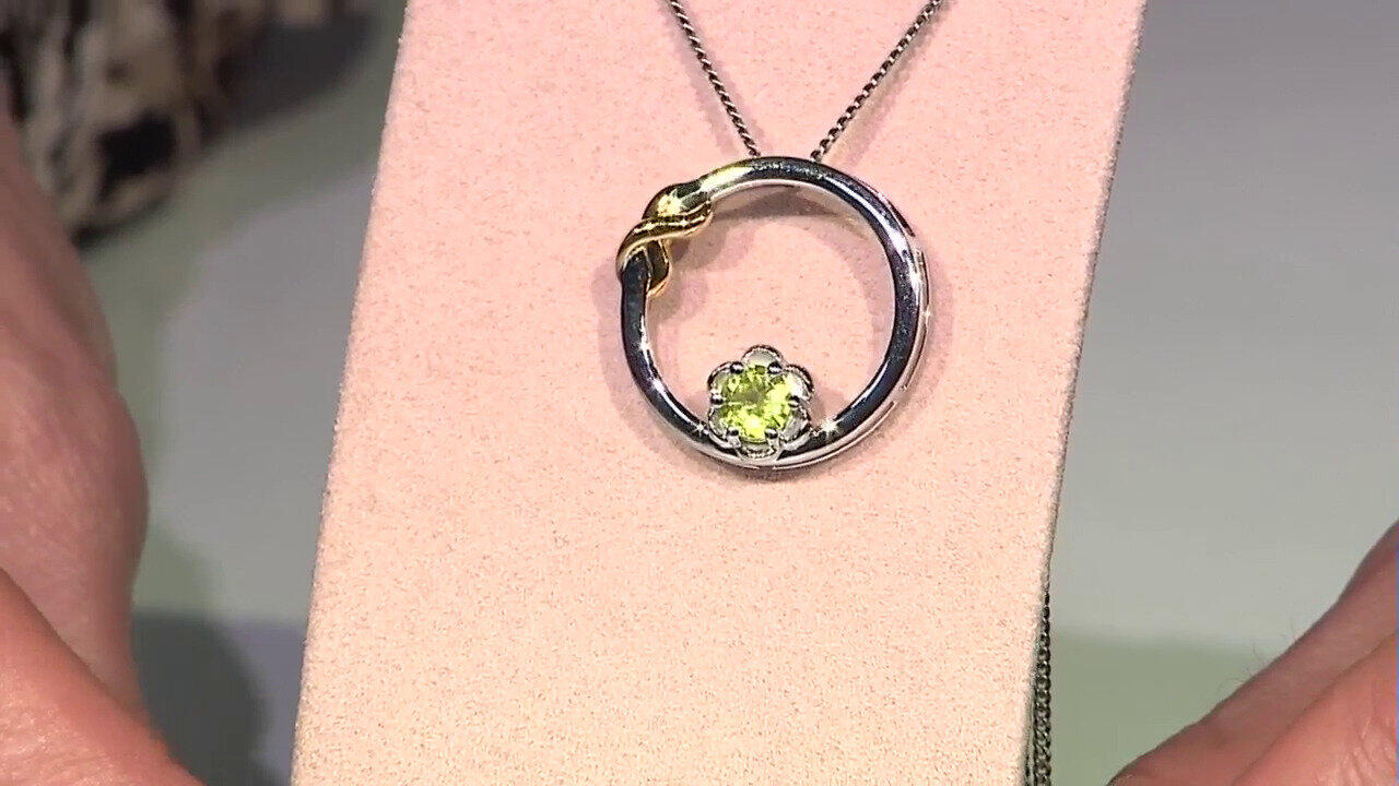 Letzte TV-Show ansehen