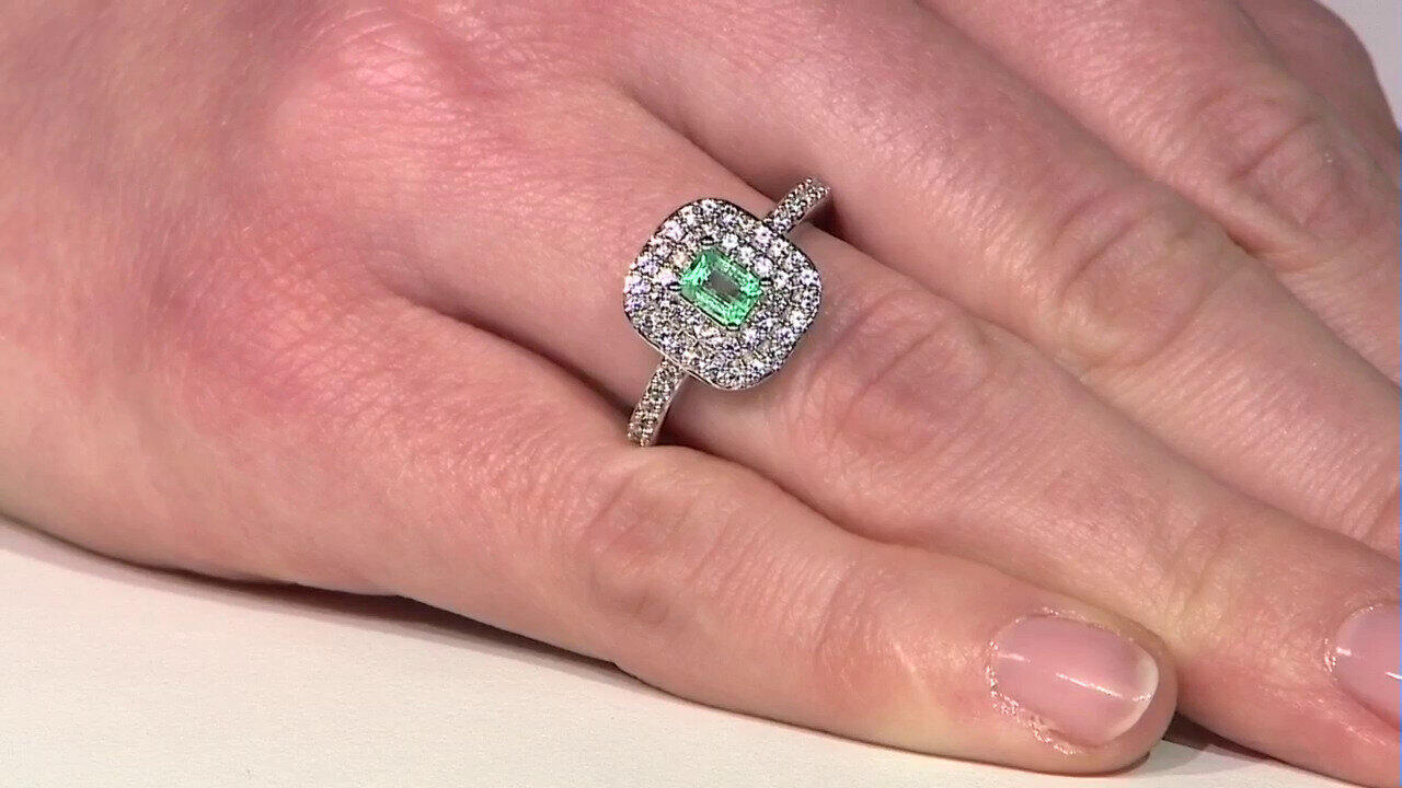 Letzte TV-Show ansehen