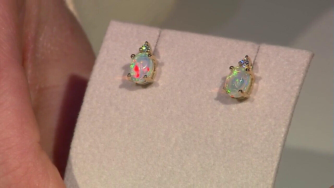 Ver última TV oferta