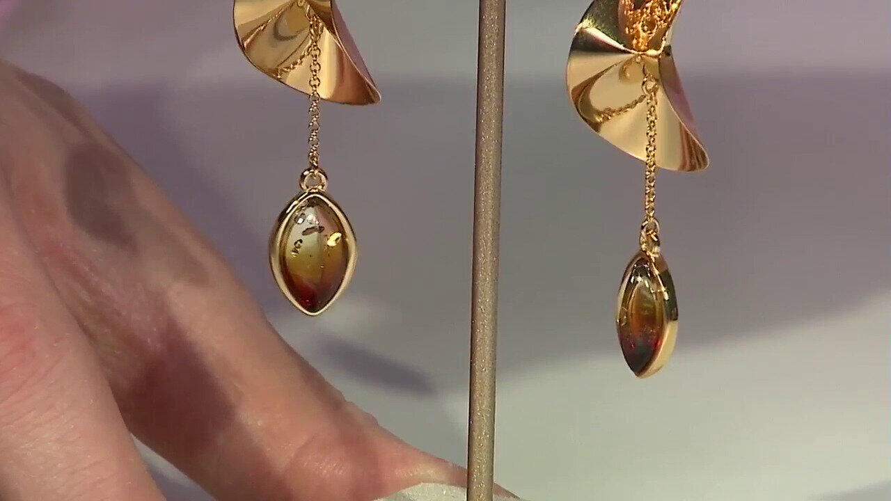 Laatste live aanbiedingen bekijken