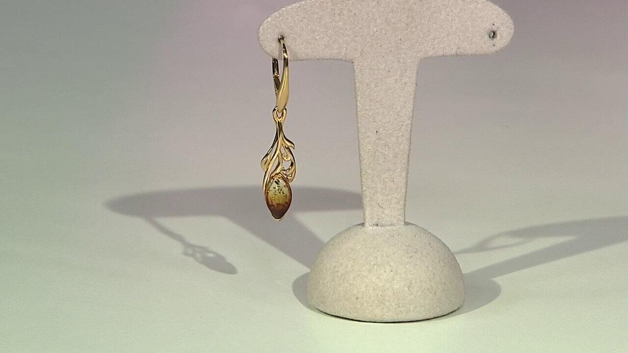 Laatste live aanbiedingen bekijken