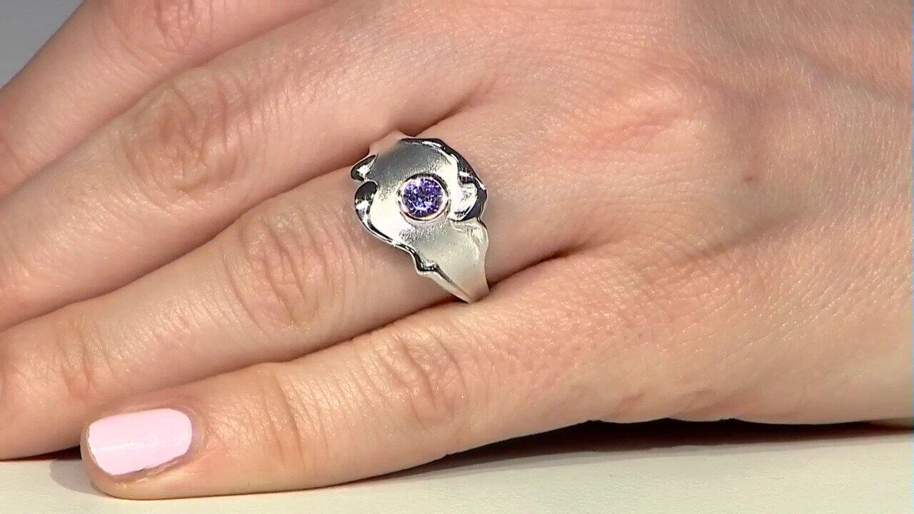 Letzte TV-Show ansehen