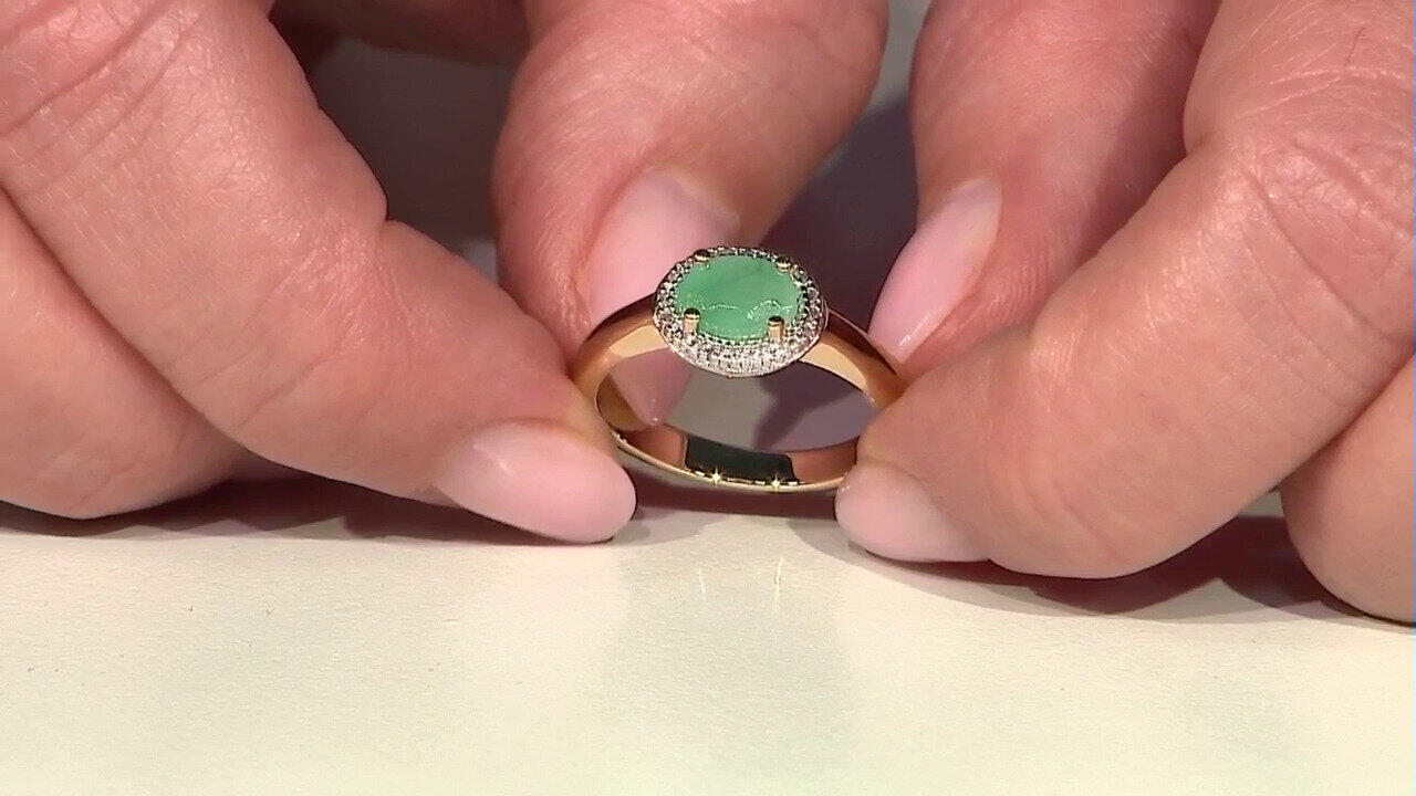 Letzte TV-Show ansehen