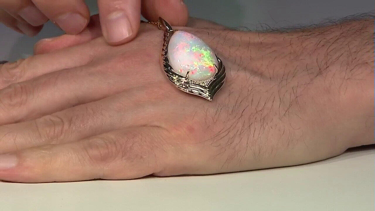 Laatste live aanbiedingen bekijken