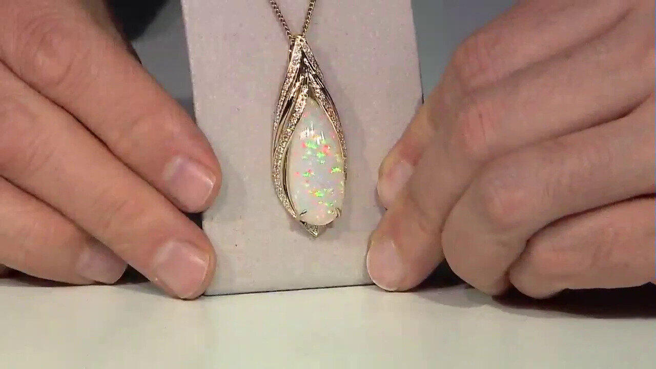 Laatste live aanbiedingen bekijken