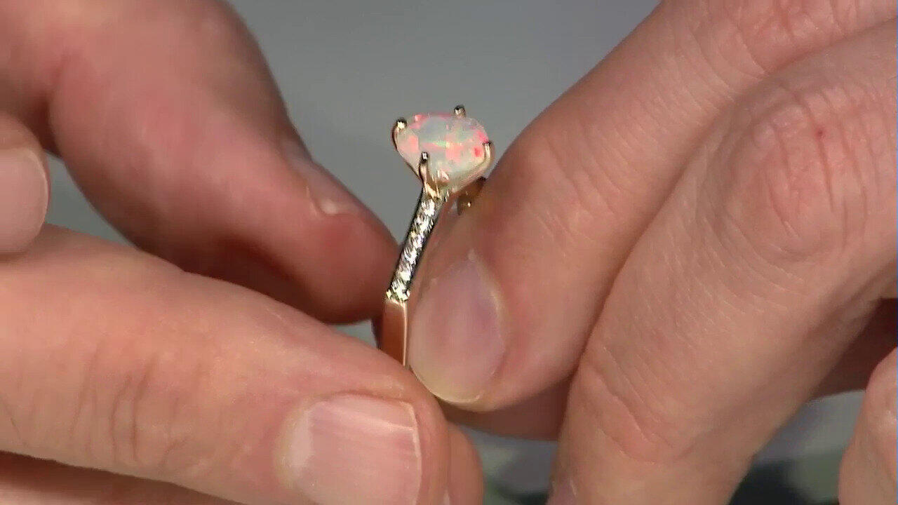 Laatste live aanbiedingen bekijken