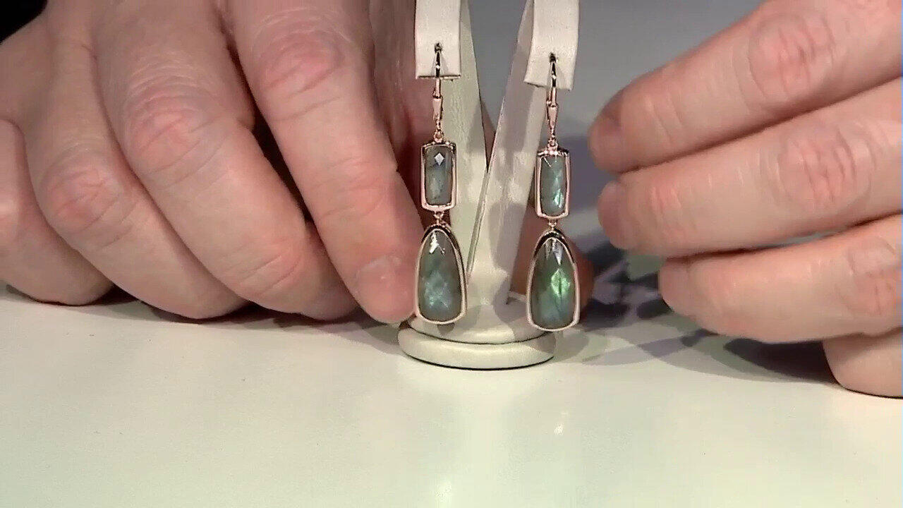 Laatste live aanbiedingen bekijken