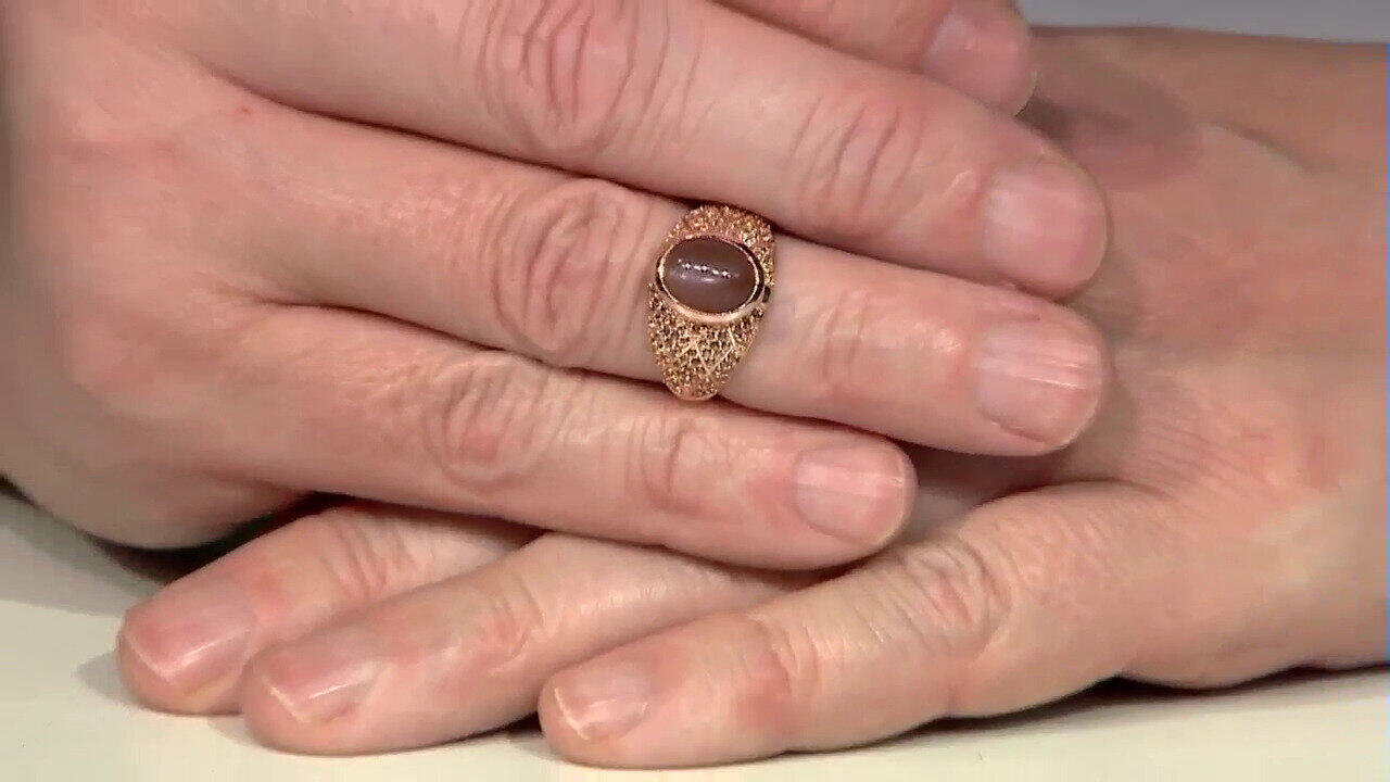 Letzte TV-Show ansehen