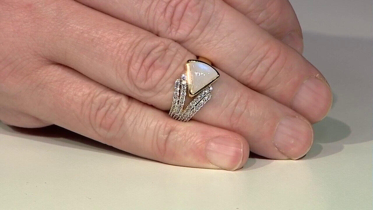 Laatste live aanbiedingen bekijken