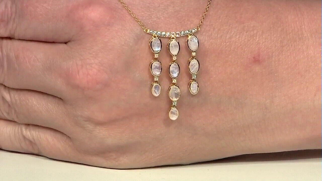 Letzte TV-Show ansehen