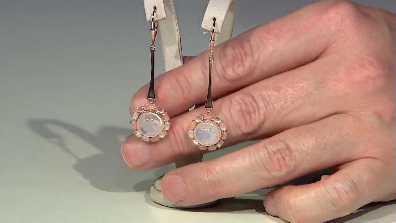 Ver última TV oferta