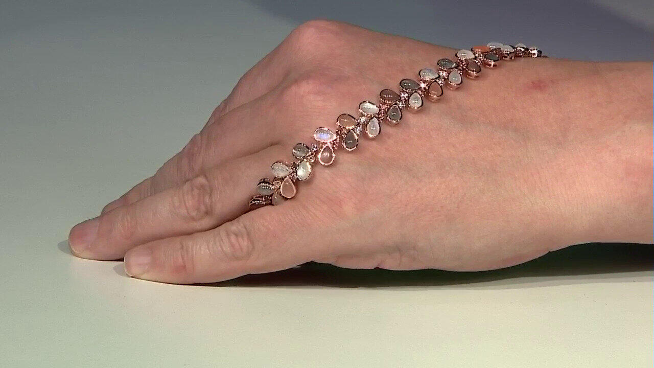 Letzte TV-Show ansehen