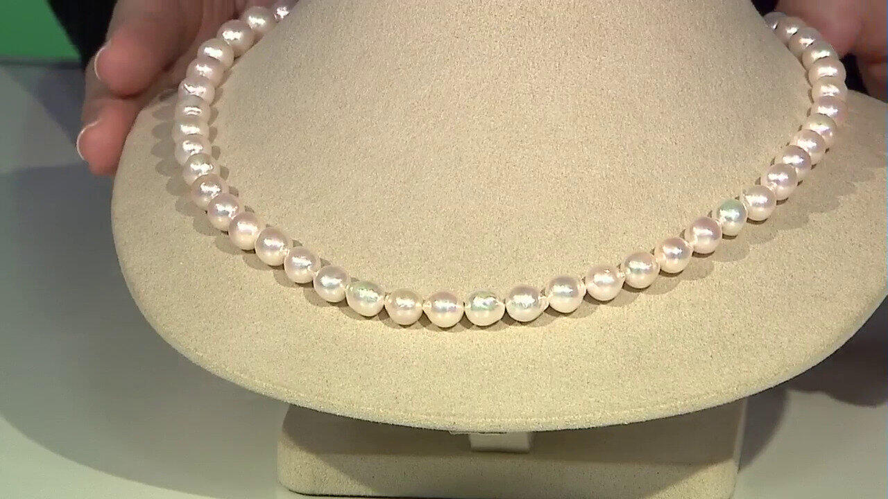 Ver última TV oferta