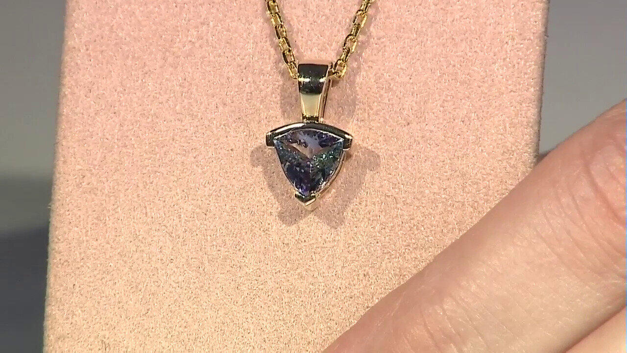 Letzte TV-Show ansehen