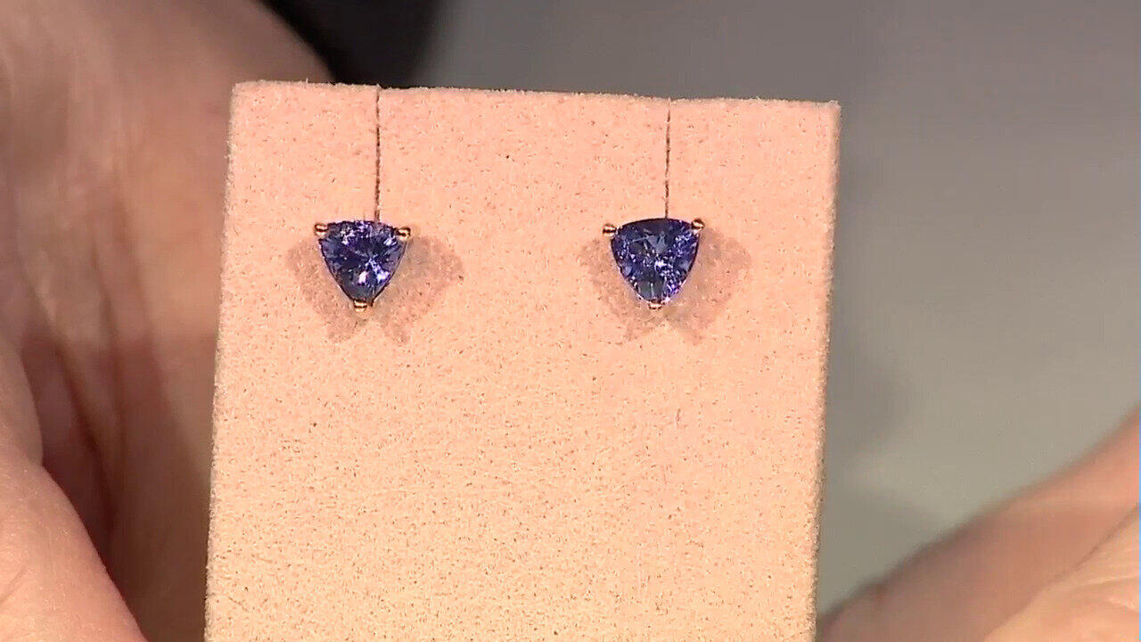 Laatste live aanbiedingen bekijken