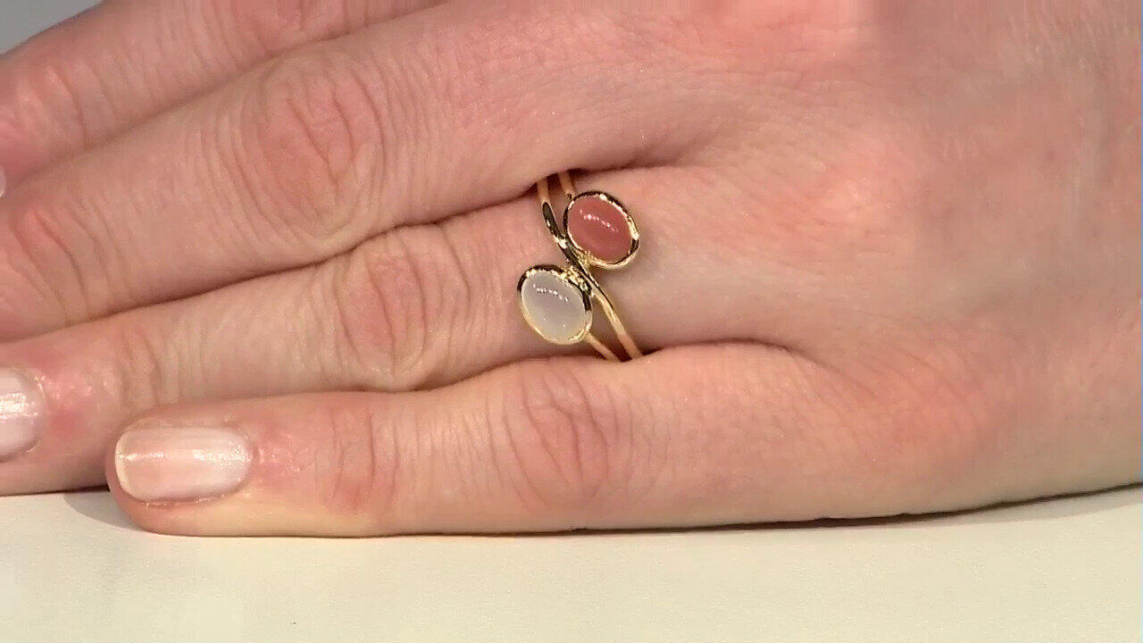 Letzte TV-Show ansehen