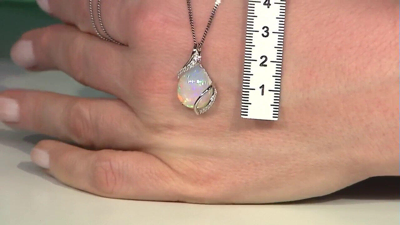 Ver última TV oferta