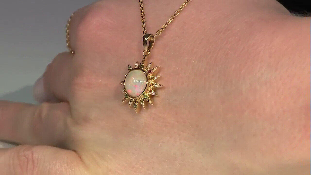 Laatste live aanbiedingen bekijken