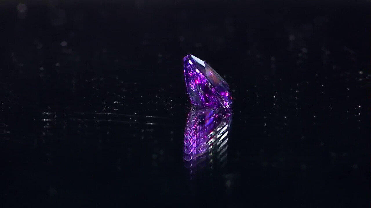 Letzte TV-Show ansehen