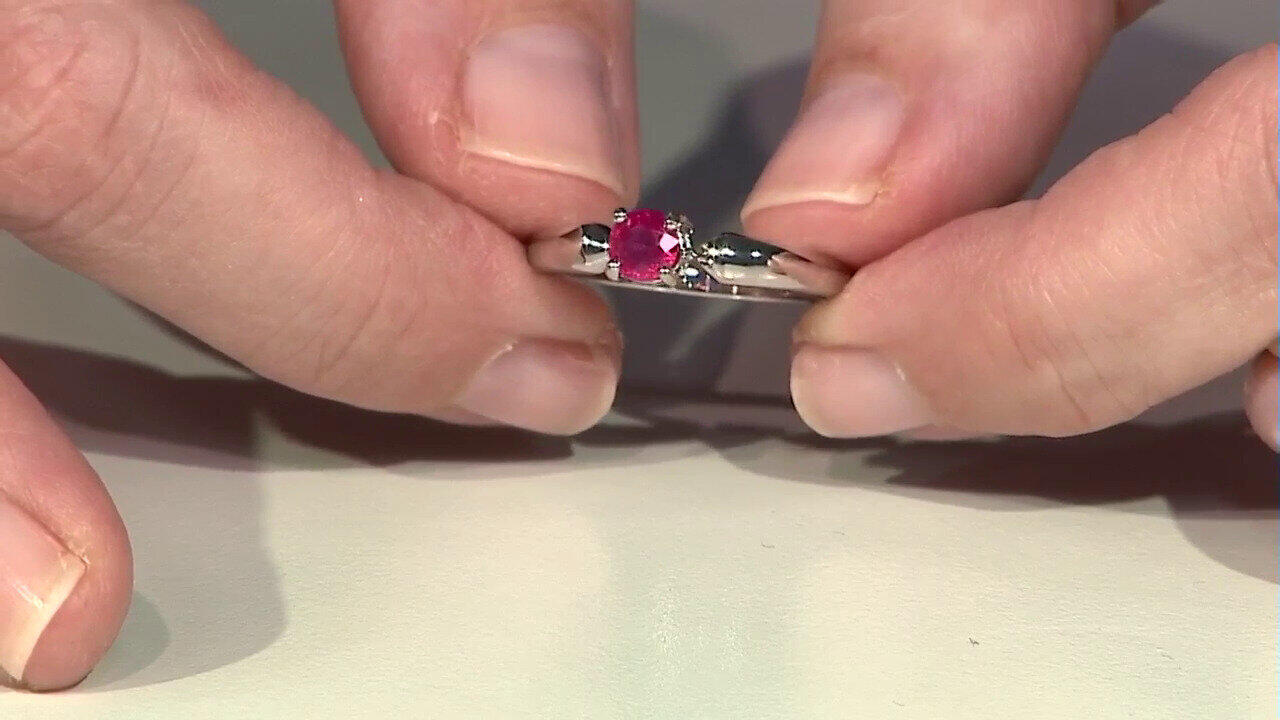 Letzte TV-Show ansehen