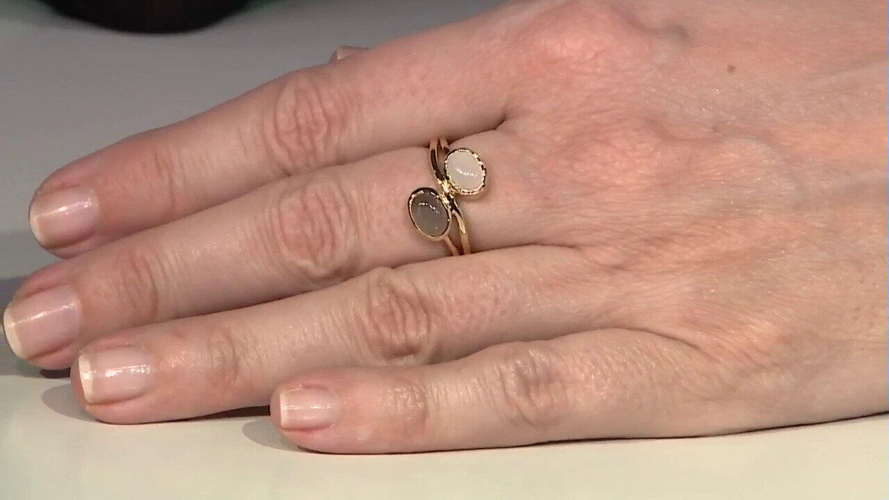 Letzte TV-Show ansehen