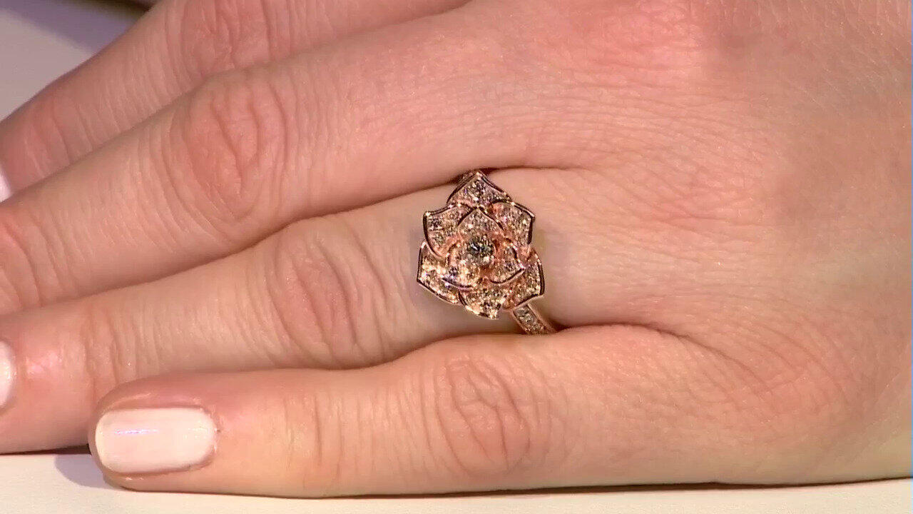 Letzte TV-Show ansehen