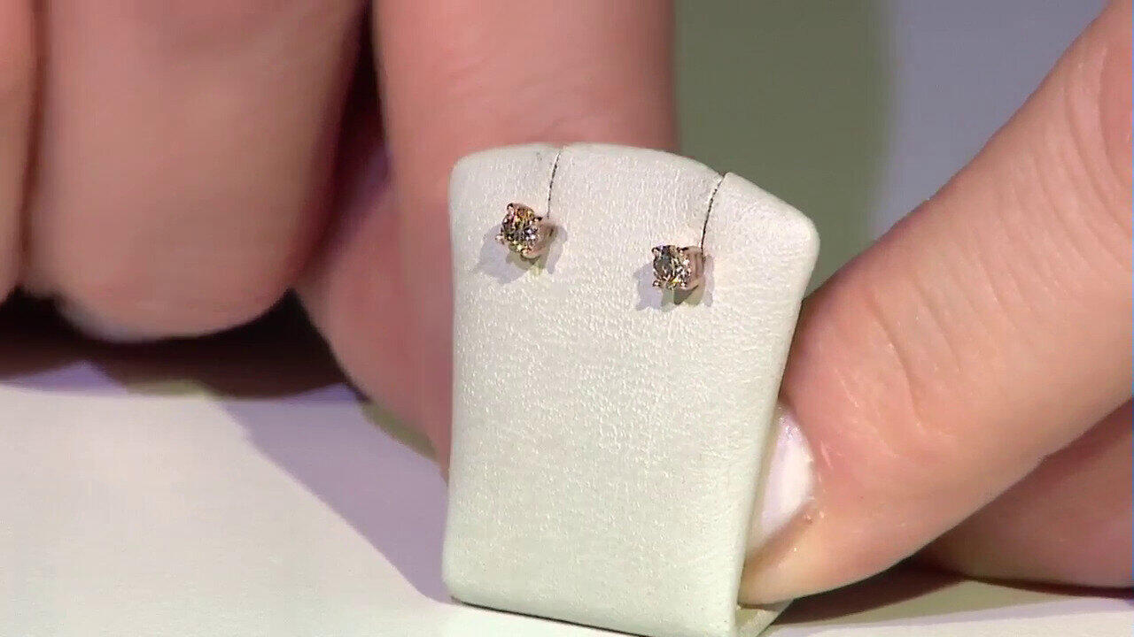 Letzte TV-Show ansehen