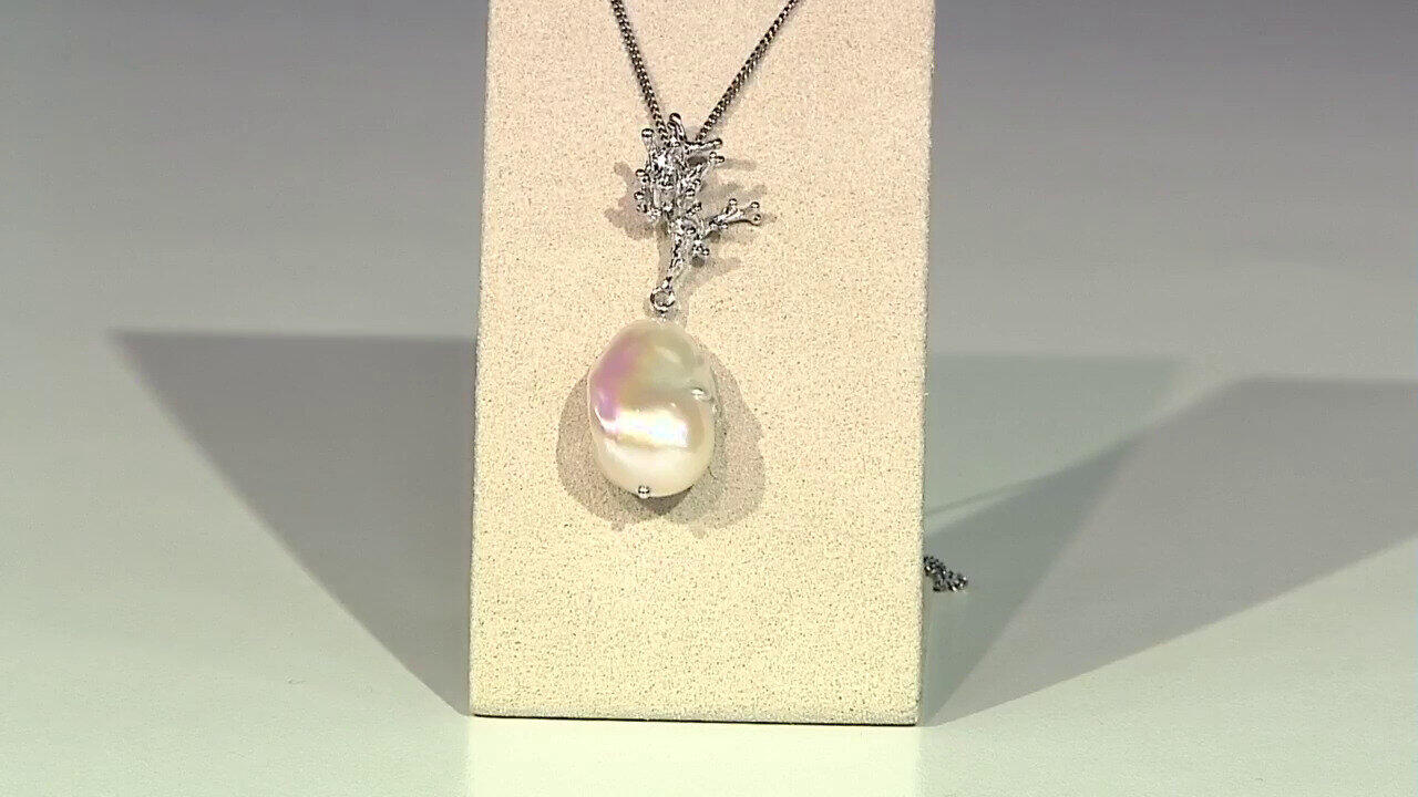 Ver última TV oferta