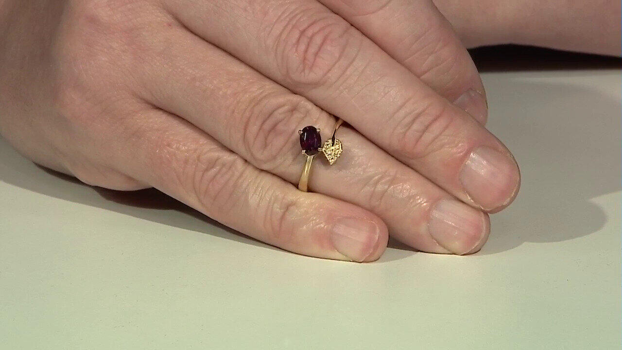 Laatste live aanbiedingen bekijken