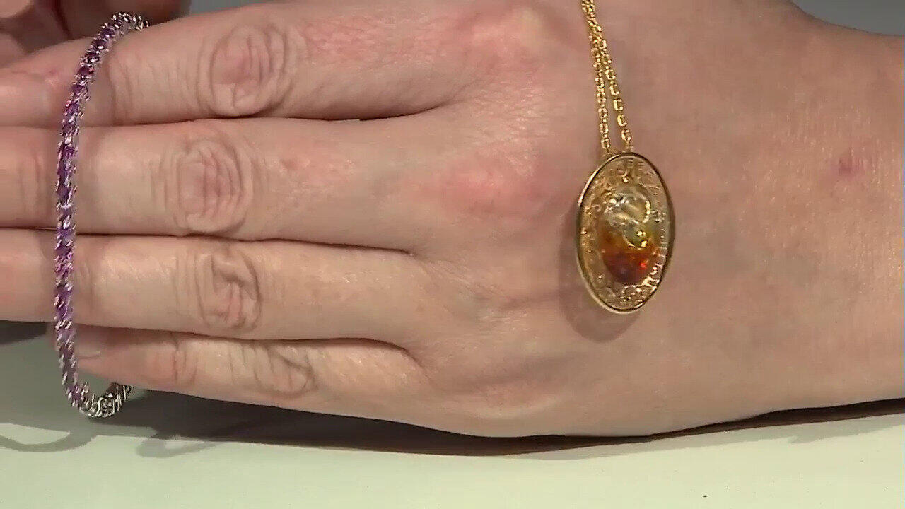 Letzte TV-Show ansehen