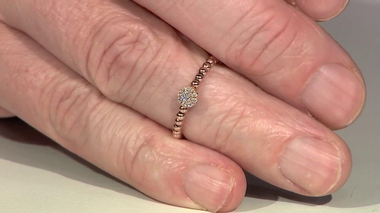 Letzte TV-Show ansehen