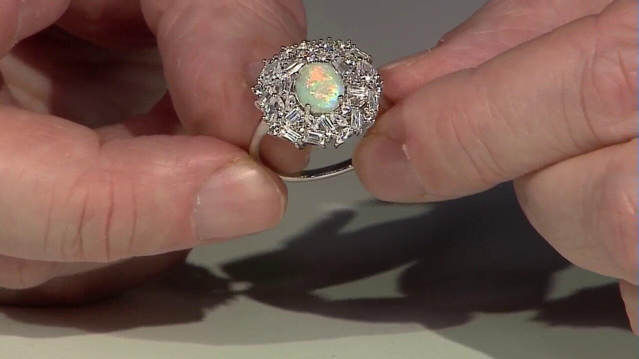 Letzte TV-Show ansehen