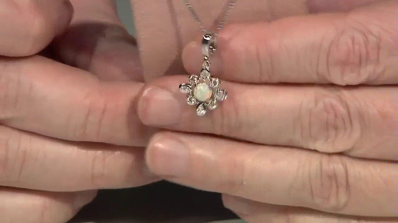 Laatste live aanbiedingen bekijken