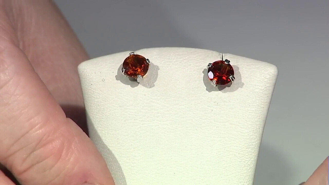 Ver última TV oferta