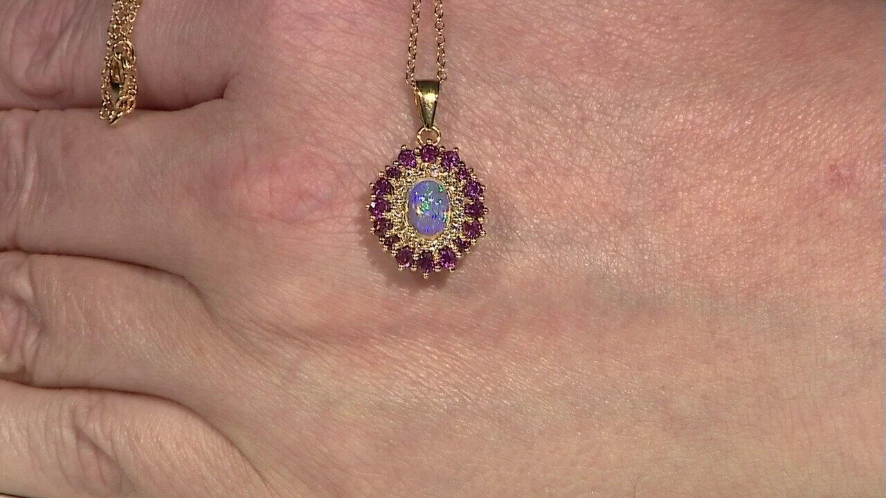 Letzte TV-Show ansehen