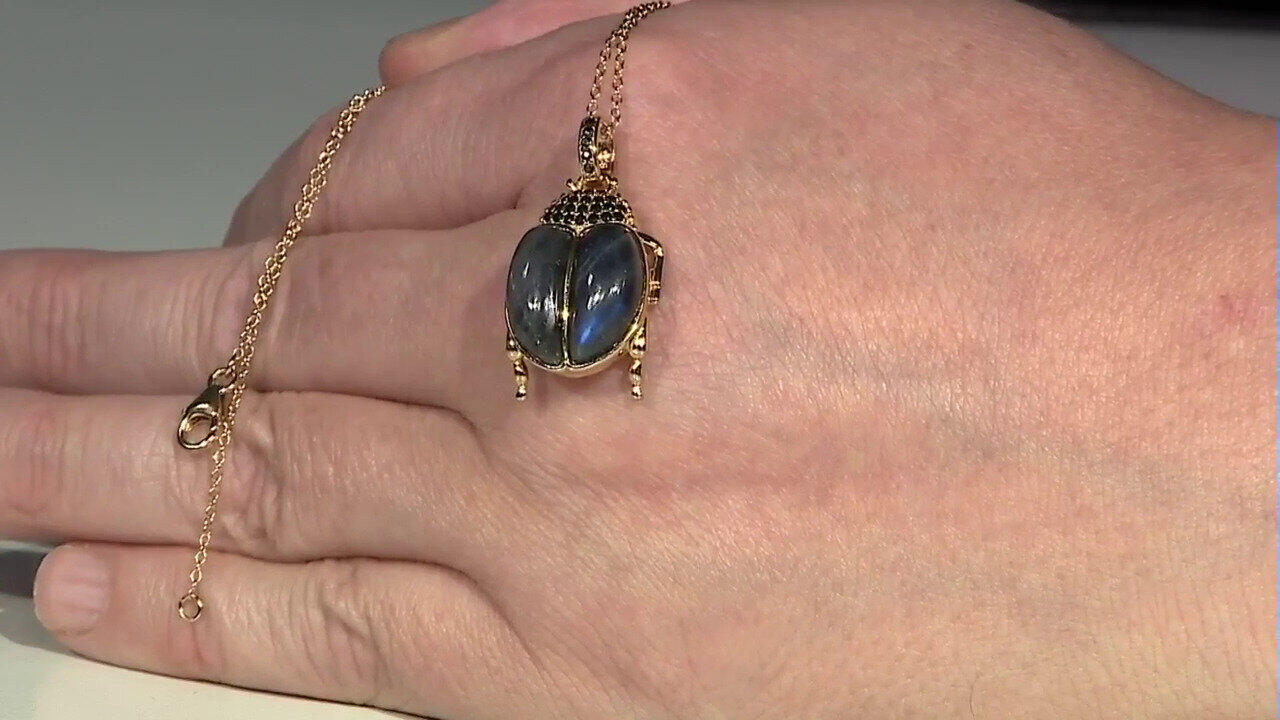 Letzte TV-Show ansehen