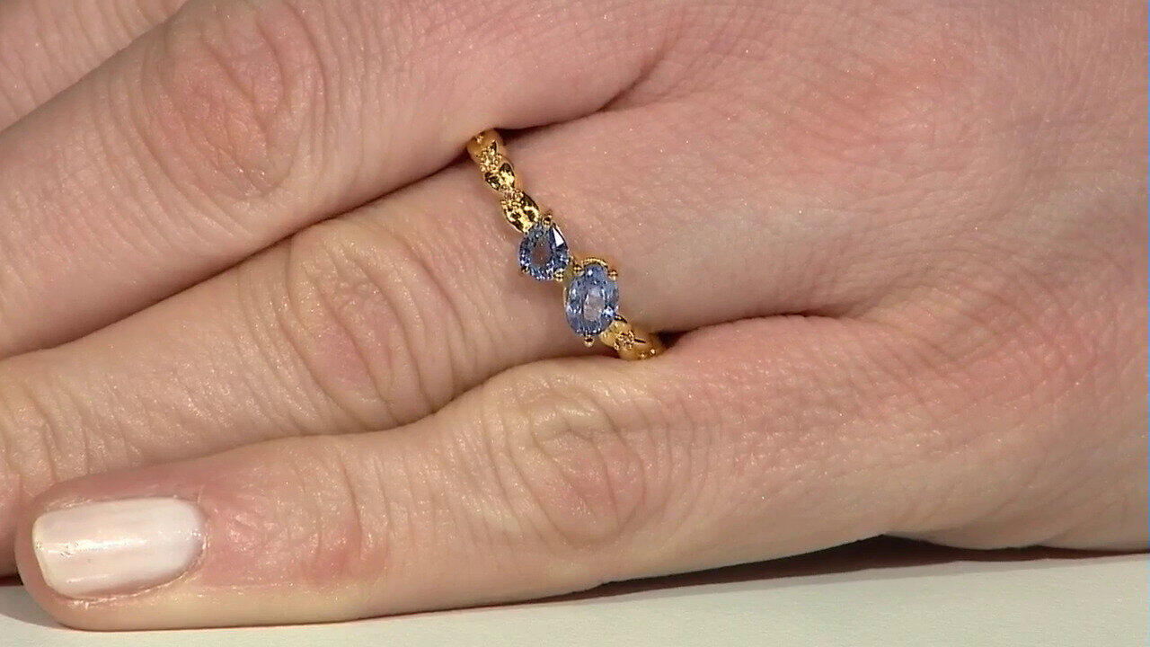 Letzte TV-Show ansehen