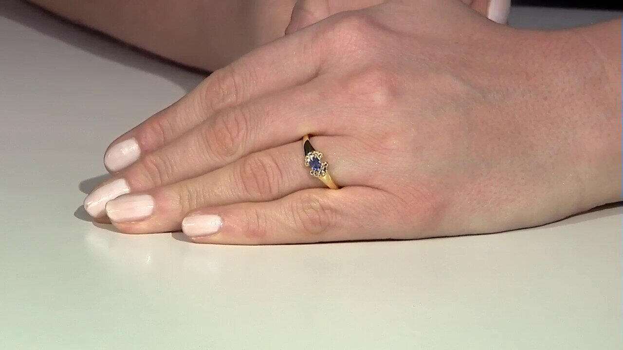 Letzte TV-Show ansehen