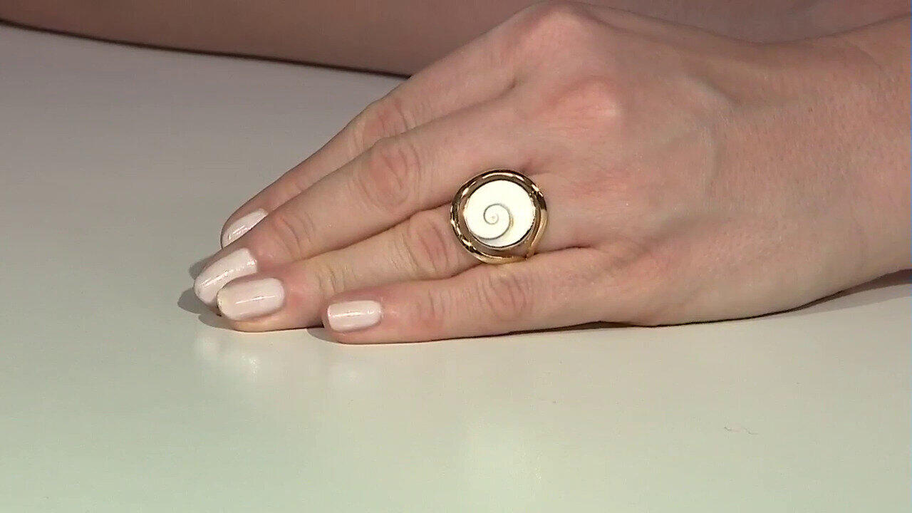 Letzte TV-Show ansehen