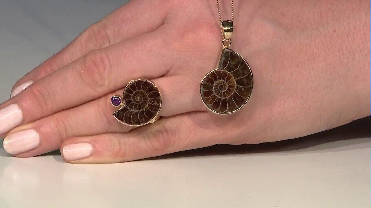 Letzte TV-Show ansehen