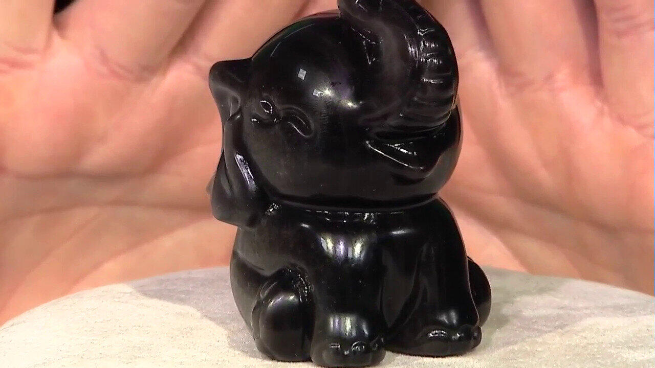 Laatste live aanbiedingen bekijken