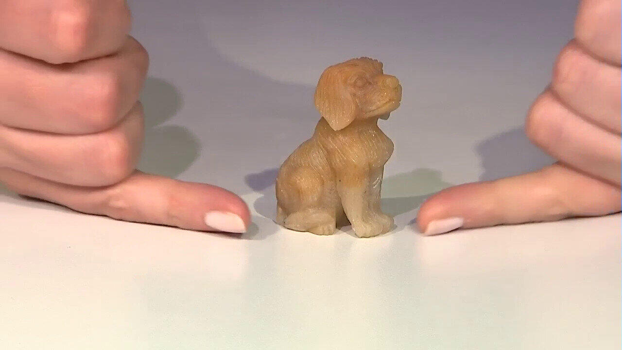 Letzte TV-Show ansehen