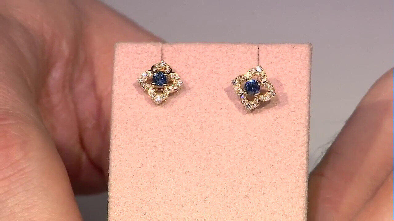 Letzte TV-Show ansehen