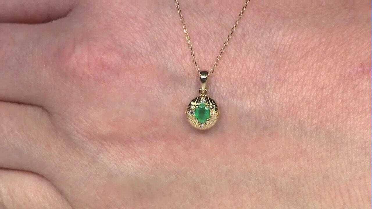 Letzte TV-Show ansehen