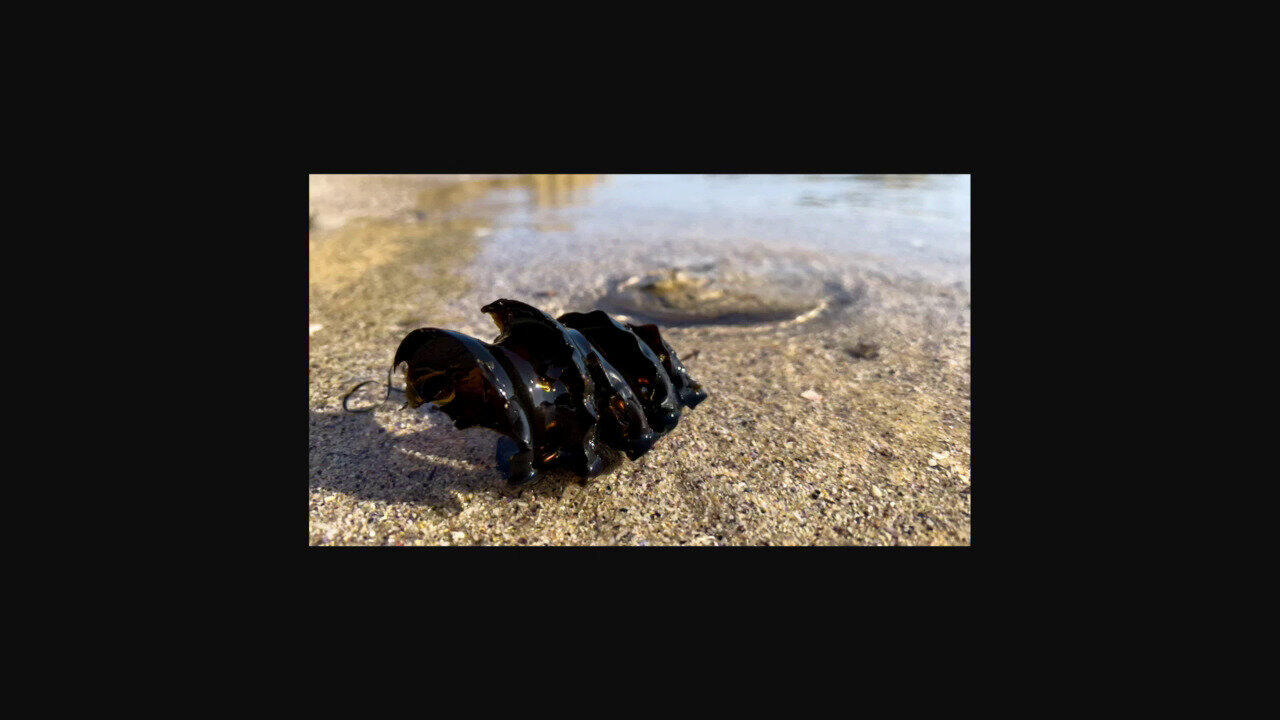 Laatste live aanbiedingen bekijken